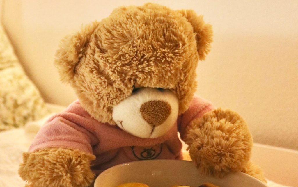 Teddy Bear Eating Cookies